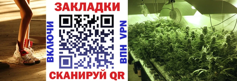 Альфа ПВП Уссурийск
