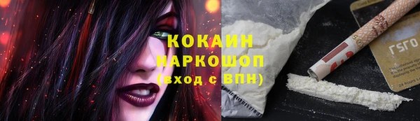 спайс Алзамай
