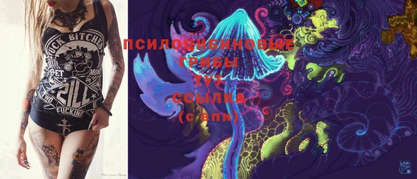 спайс Алзамай