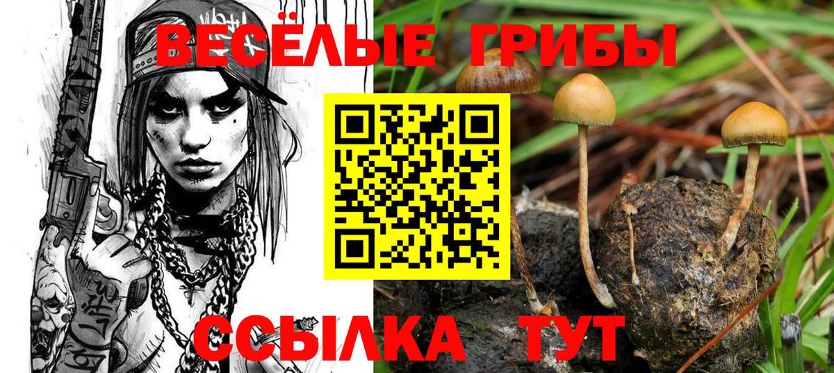 Уссурийск  ГАШИШ  Как найти закладки?  Кокаин  ТГК  Меф МЯУ МЯУ  Вход с VPN  МЕТАМФЕТАМИН  Каннабис  ГАШ  Мефедрон кристаллы 