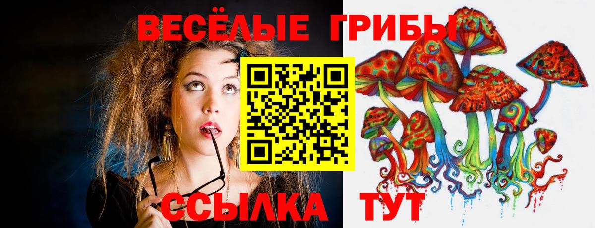 Галлюциногенные грибы MAGIC MUSHROOMS  Вход с VPN  Уссурийск 