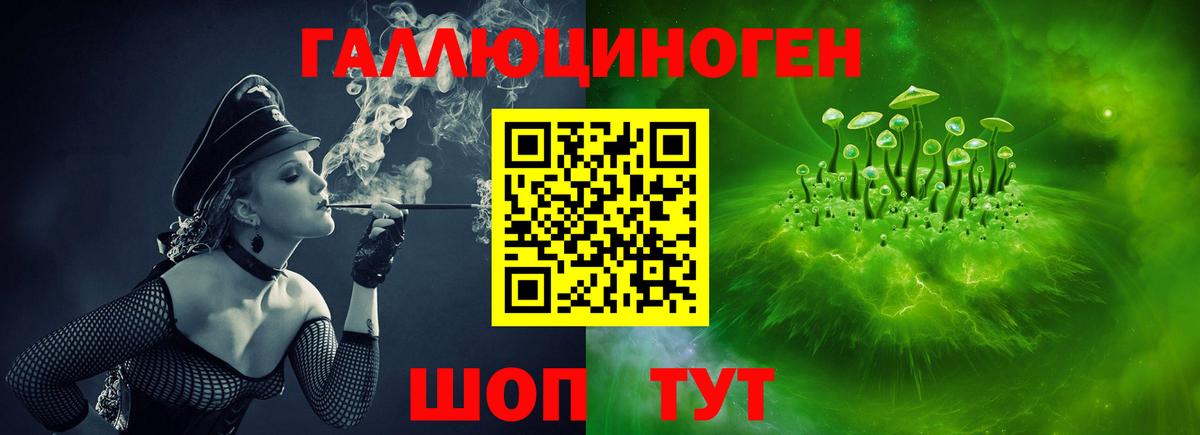 Галлюциногенные грибы Psilocybe Уссурийск